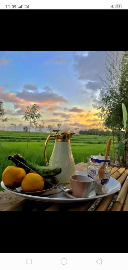 Tiara Homestay Plambi Екстериор снимка