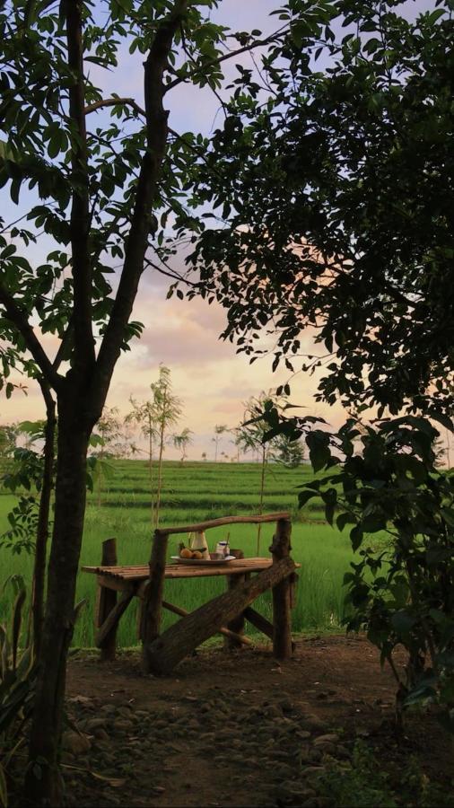 Tiara Homestay Plambi Екстериор снимка